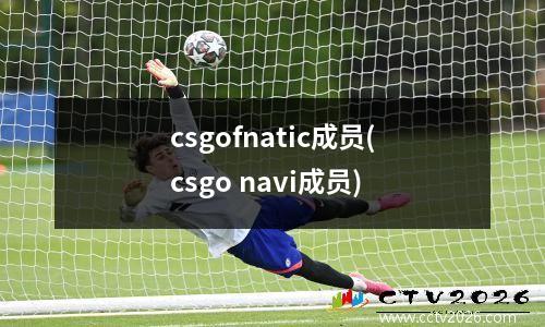 csgofnatic成员(csgo navi成员)