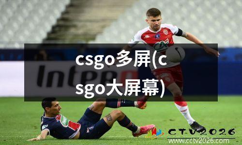 csgo多屏(csgo大屏幕)