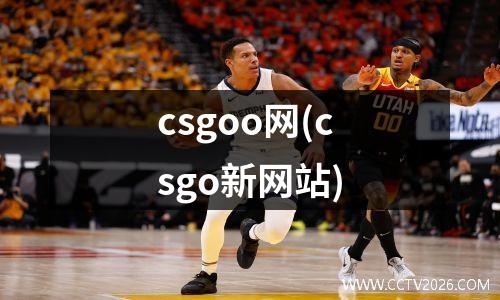 csgoo网(csgo新网站)