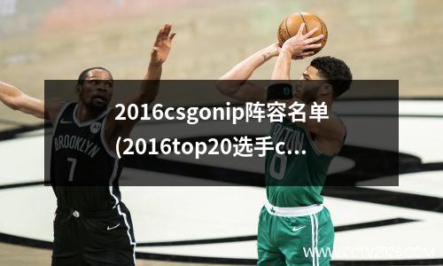 2016csgonip阵容名单(2016top20选手csgo)