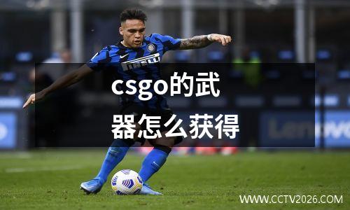 csgo的武器怎么获得