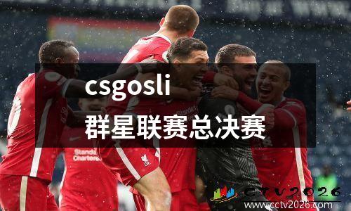 csgosli群星联赛总决赛