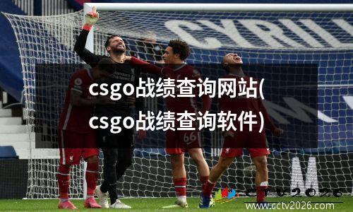 csgo战绩查询网站(csgo战绩查询软件)