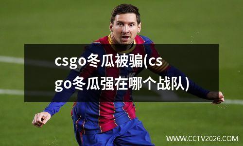 csgo冬瓜被骗(csgo冬瓜强在哪个战队)