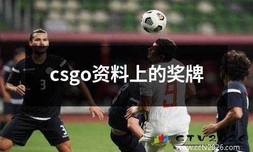 csgo资料上的奖牌