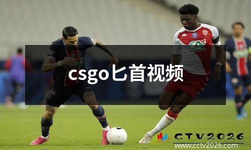 csgo匕首视频