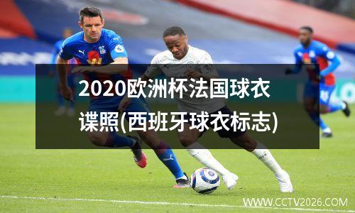 2020欧洲杯法国球衣谍照(西班牙球衣标志)