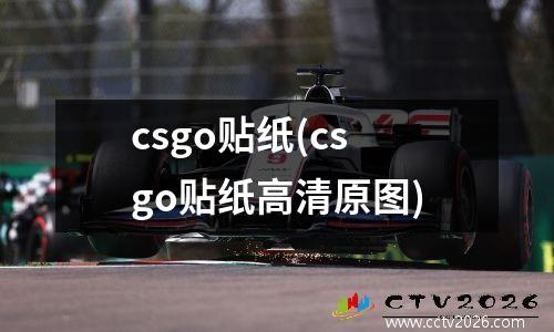 csgo贴纸(csgo贴纸高清原图)