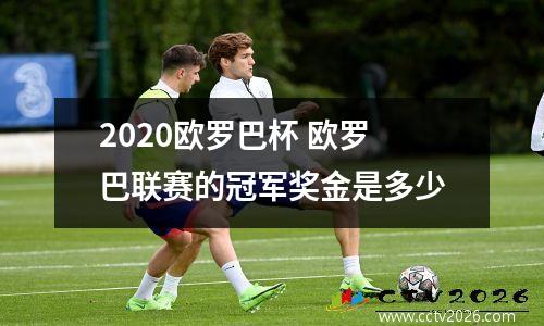 2020欧罗巴杯 欧罗巴联赛的冠军奖金是多少