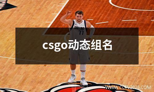 csgo动态组名