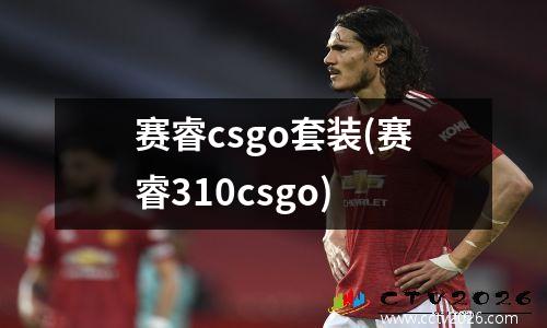 赛睿csgo套装(赛睿310csgo)
