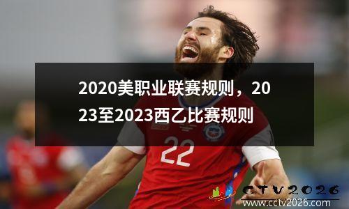 2020美职业联赛规则，2023至2023西乙比赛规则