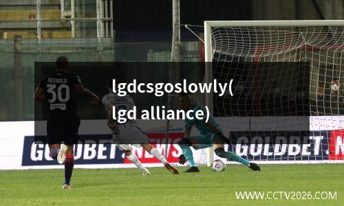 lgdcsgoslowly(lgd alliance)