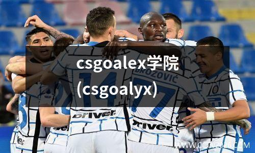 csgoalex学院(csgoalyx)