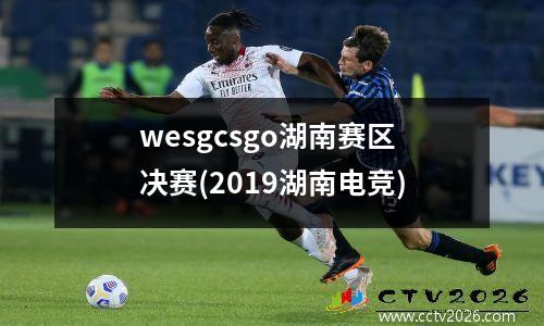 wesgcsgo湖南赛区决赛(2019湖南电竞)