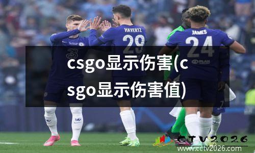 csgo显示伤害(csgo显示伤害值)