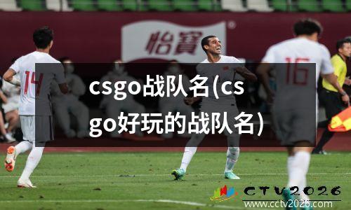 csgo战队名(csgo好玩的战队名)