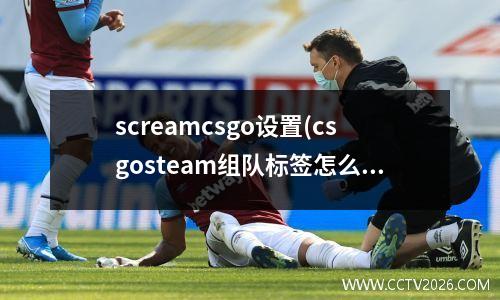 screamcsgo设置(csgosteam组队标签怎么设)