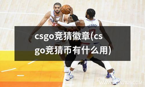 csgo竞猜徽章(csgo竞猜币有什么用)