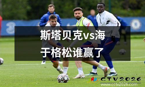 斯塔贝克vs海于格松谁赢了