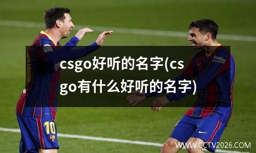 csgo好听的名字(csgo有什么好听的名字)