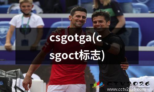 csgotga(csgoct标志)