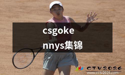 csgokennys集锦