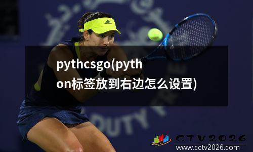 pythcsgo(python标签放到右边怎么设置)