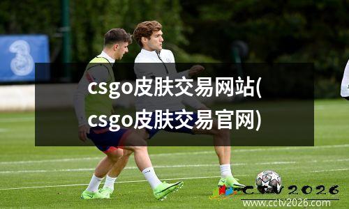 csgo皮肤交易网站(csgo皮肤交易官网)