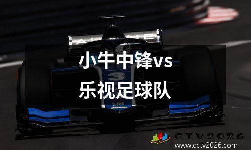 小牛中锋vs乐视足球队