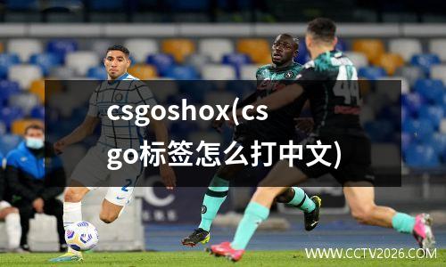 csgoshox(csgo标签怎么打中文)