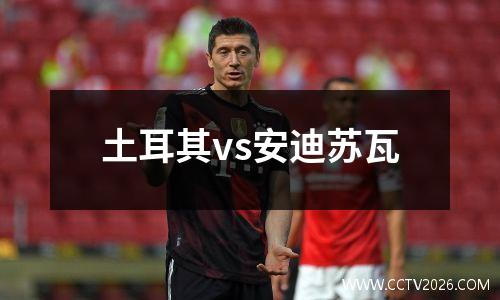 土耳其vs安迪苏瓦