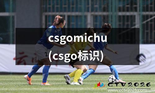 csgomichu(csgo标识)