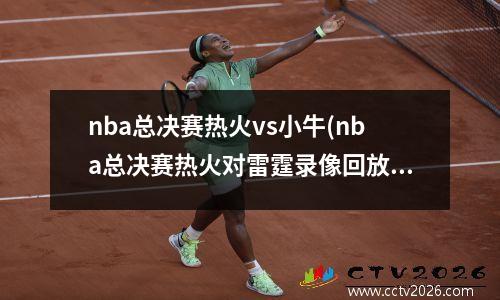 nba总决赛热火vs小牛(nba总决赛热火对雷霆录像回放)