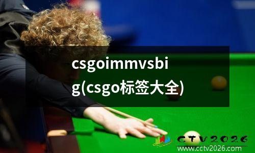 csgoimmvsbig(csgo标签大全)