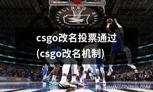 csgo改名投票通过(csgo改名机制)