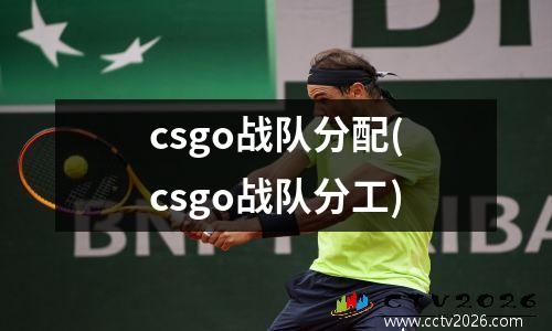 csgo战队分配(csgo战队分工)