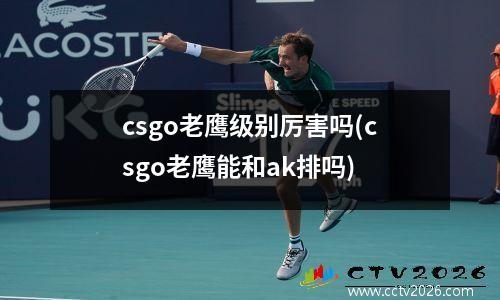 csgo老鹰级别厉害吗(csgo老鹰能和ak排吗)