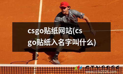 csgo贴纸网站(csgo贴纸入名字叫什么)