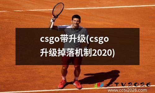 csgo带升级(csgo升级掉落机制2020)