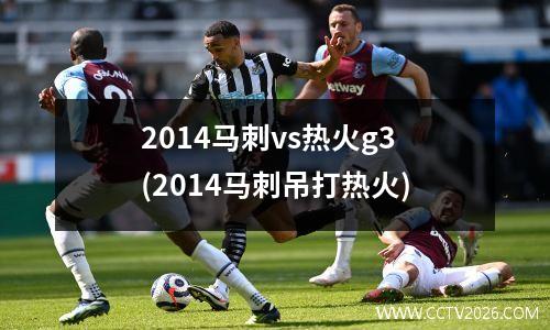 2014马刺vs热火g3(2014马刺吊打热火)