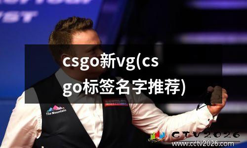 csgo新vg(csgo标签名字推荐)