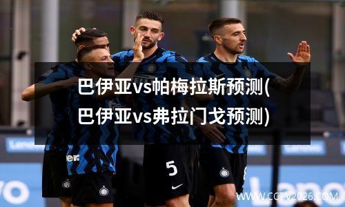 巴伊亚vs帕梅拉斯预测(巴伊亚vs弗拉门戈预测)