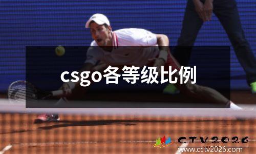 csgo各等级比例