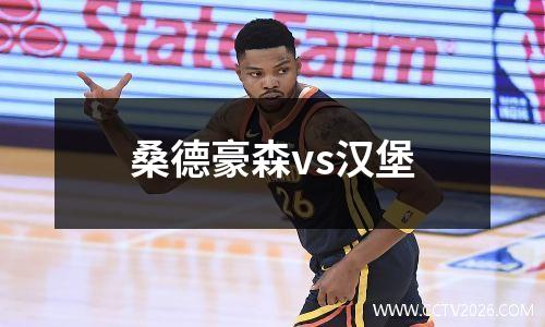 桑德豪森vs汉堡