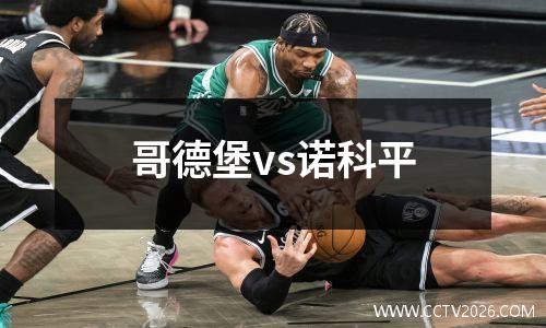 哥德堡vs诺科平