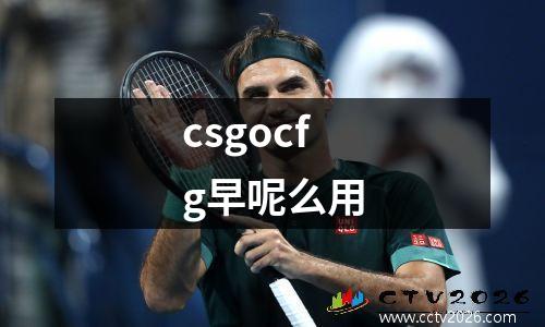 csgocfg早呢么用