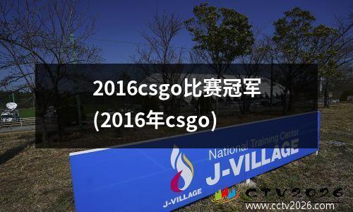 2016csgo比赛冠军(2016年csgo)