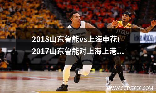 2018山东鲁能vs上海申花(2017山东鲁能对上海上港)
