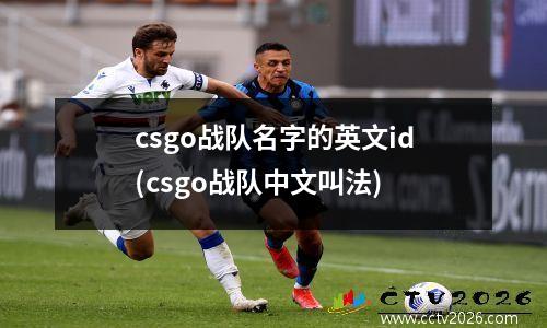 csgo战队名字的英文id(csgo战队中文叫法)